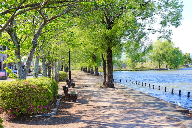 公園